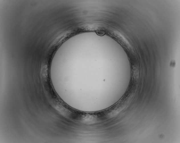 X0000101980549200808011102