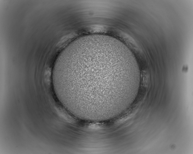 X0000101980550200808011102