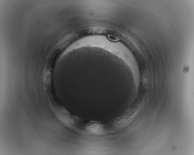 X0000101980551200808011102