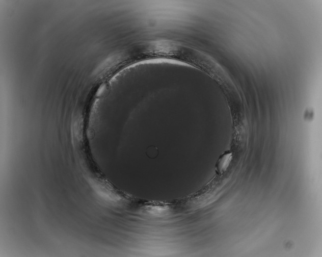 X0000101980552200808011102