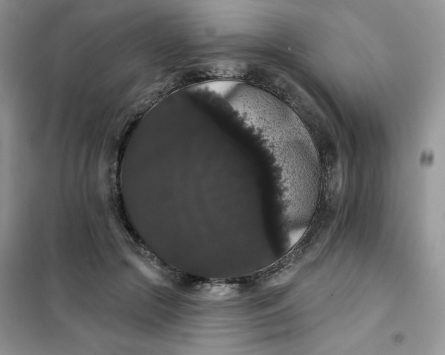 X0000101980553200808011102