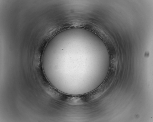 X0000101980554200808011102