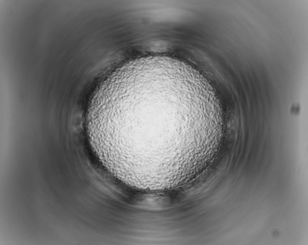 X0000101980555200808011102