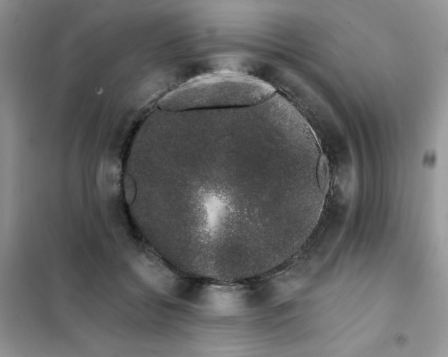 X0000101980556200808011102