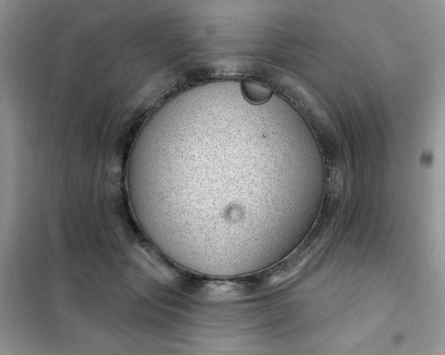 X0000101980557200808011102