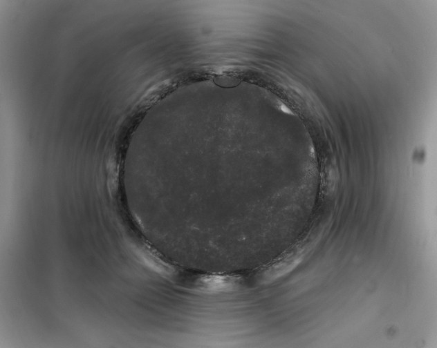 X0000101980558200808011102