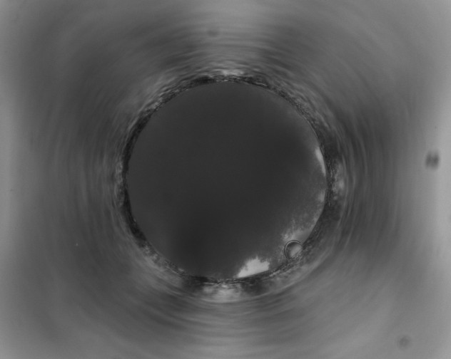 X0000101980559200808011102