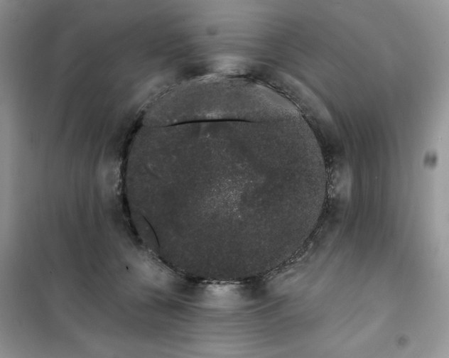 X0000101980560200808011102