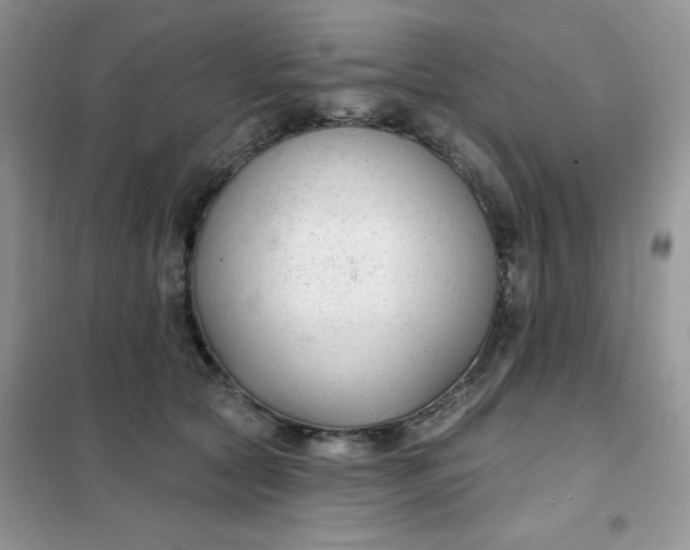 X0000101980561200808011102