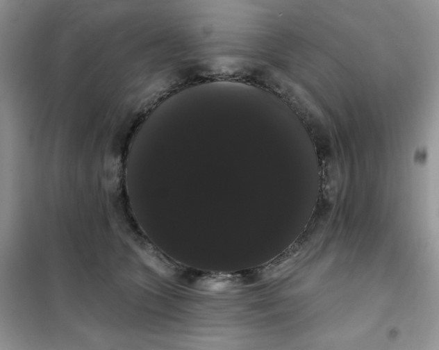 X0000101980563200808011102