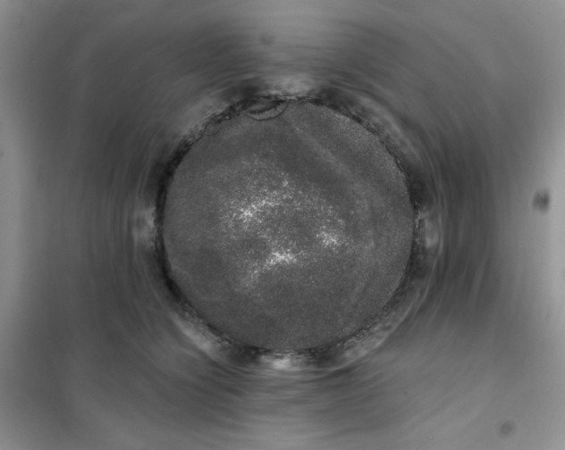 X0000101980564200808011102