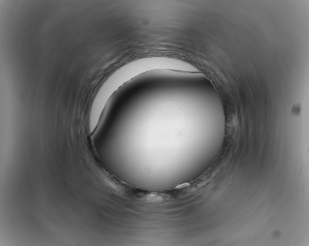 X0000101980566200808011102