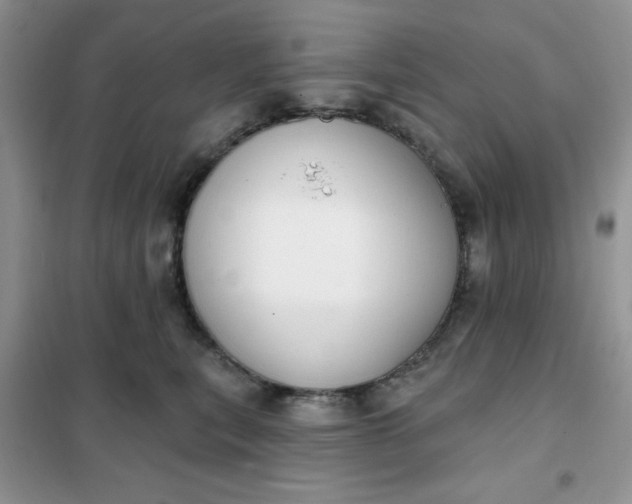 X0000101980567200808011102