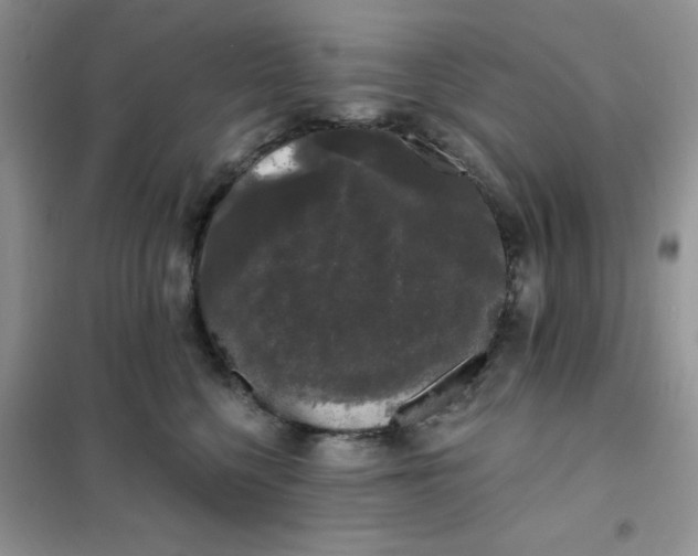 X0000101980568200808011102