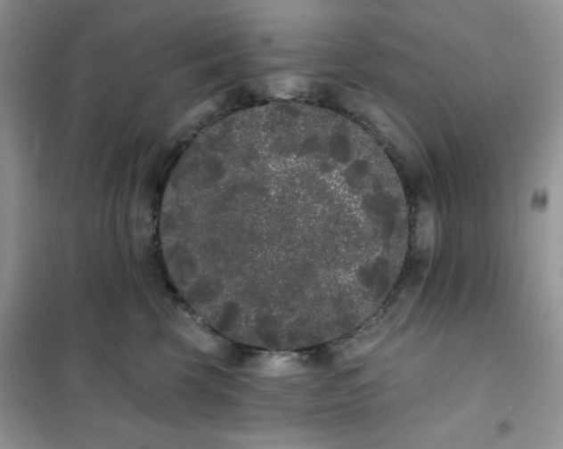 X0000101980569200808011102