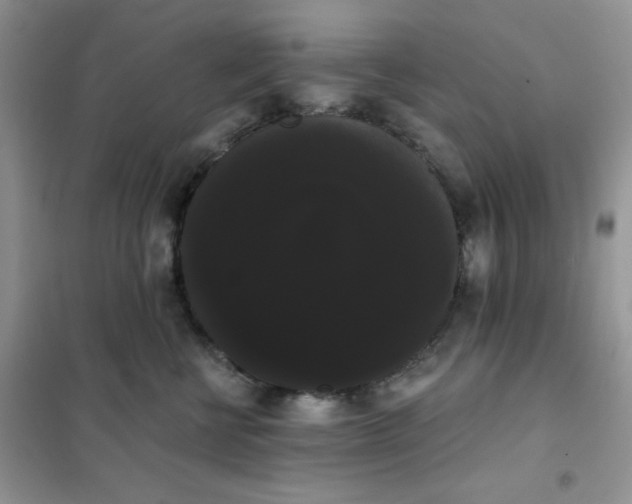 X0000101980570200808011102