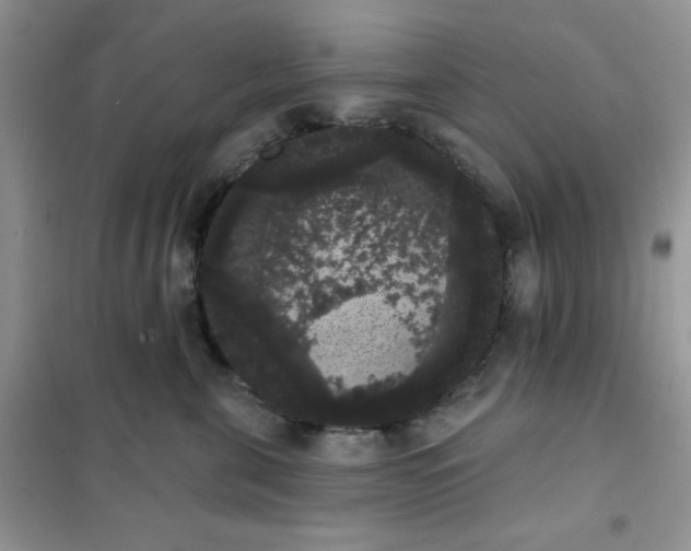 X0000101980571200808011102