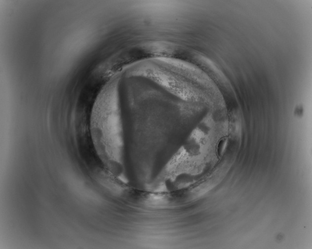 X0000101980573200808011102