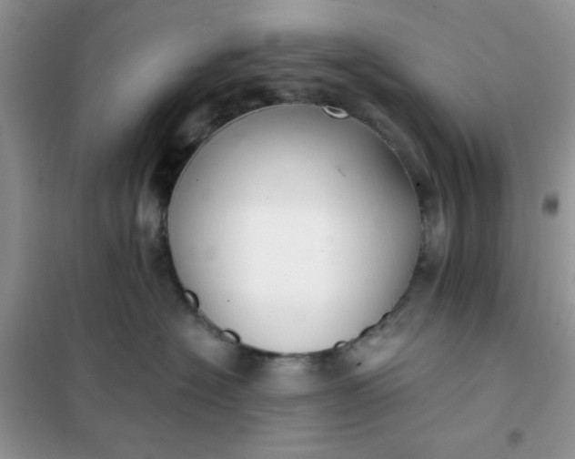 X0000101980574200808011102