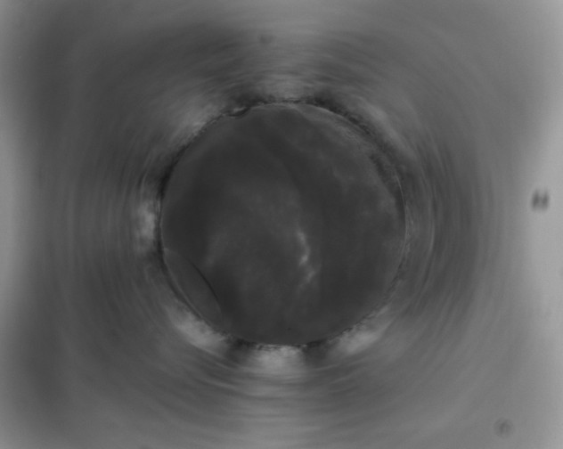 X0000101980576200808011102