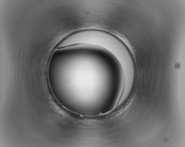 X0000101980577200808011102