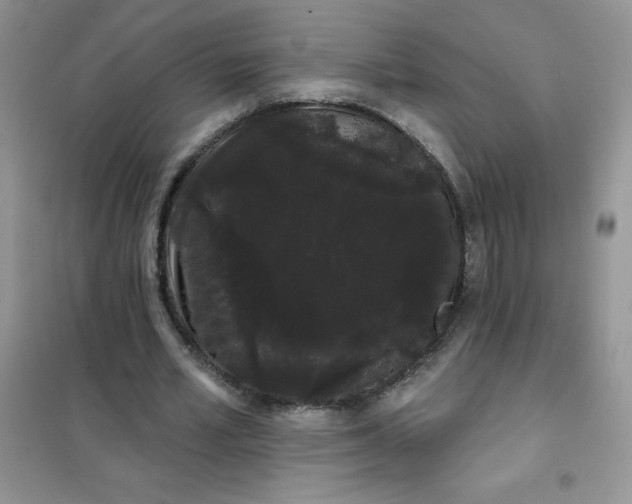 X0000101980581200808011102