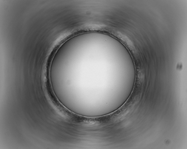 X0000101980582200808011102