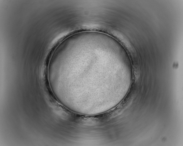 X0000101980583200808011101