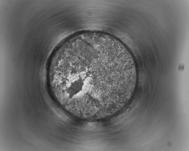 X0000101980584200808011101