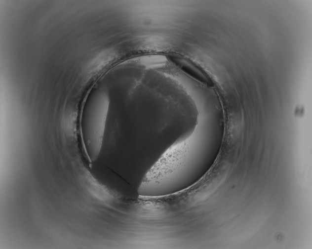 X0000101980585200808011101