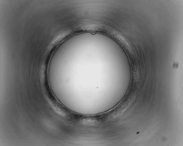 X0000101980586200808011101