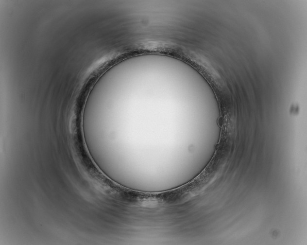 X0000101980587200808011101