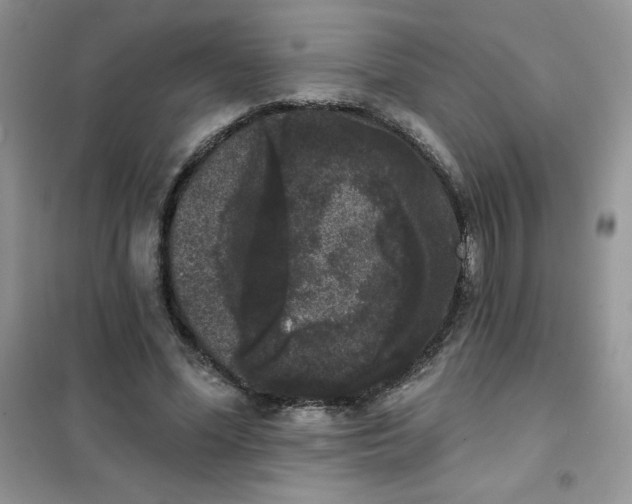 X0000101980588200808011101