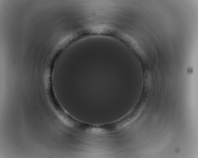 X0000101980590200808011101