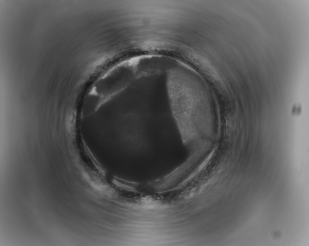 X0000101980592200808011101