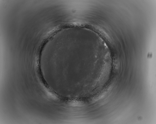 X0000101980593200808011101