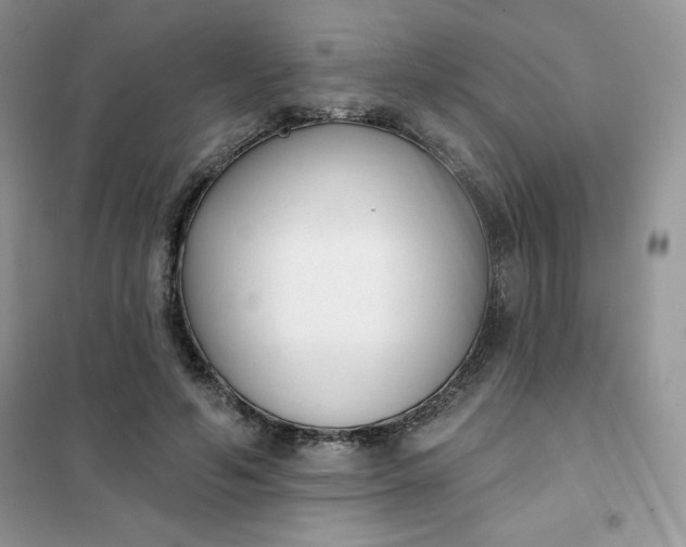 X0000101980594200808011101