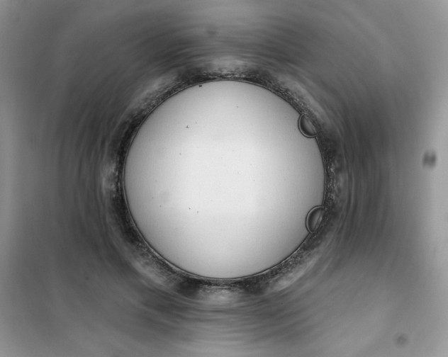 X0000101980597200808011101