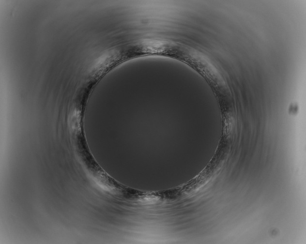 X0000101980598200808011101