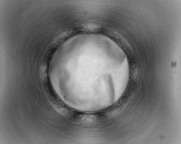 X0000101980599200808011101