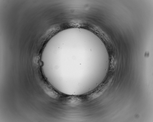 X0000101980601200808011101