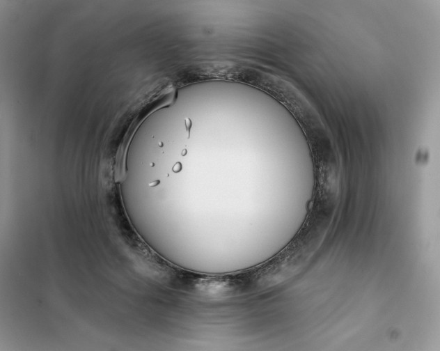 X0000101980602200808011101