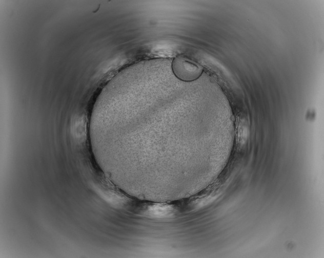 X0000101980603200808011101