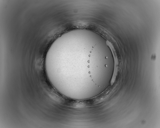 X0000101980604200808011101