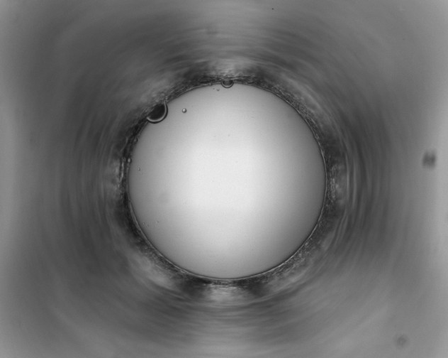 X0000101980605200808011101