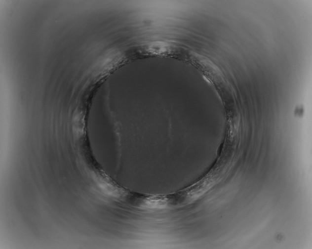 X0000101980606200808011101