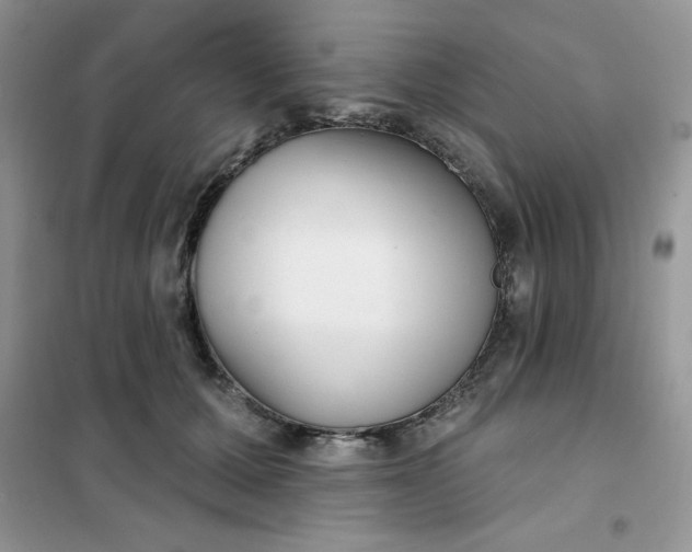 X0000101980607200808011101