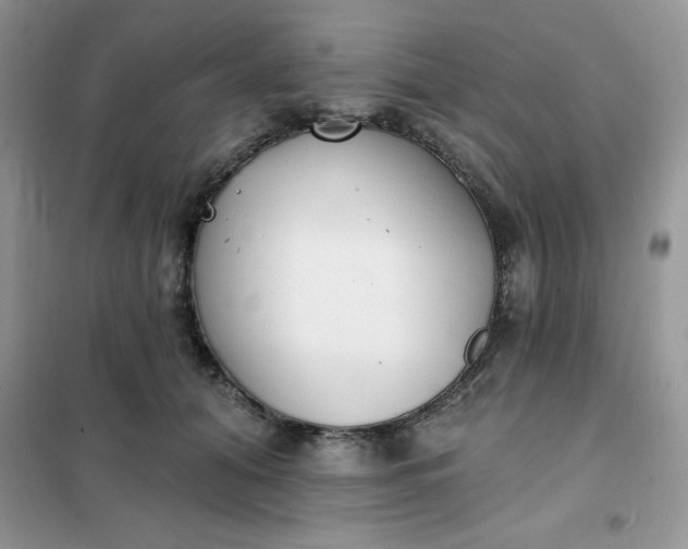 X0000101980608200808011101