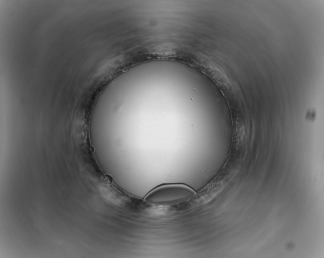 X0000101980609200808011101