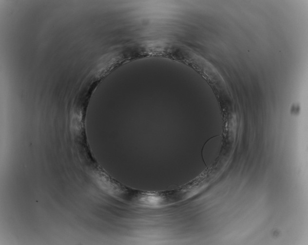 X0000101980610200808011101